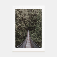 Hanging Bridge Photo Color Poster
