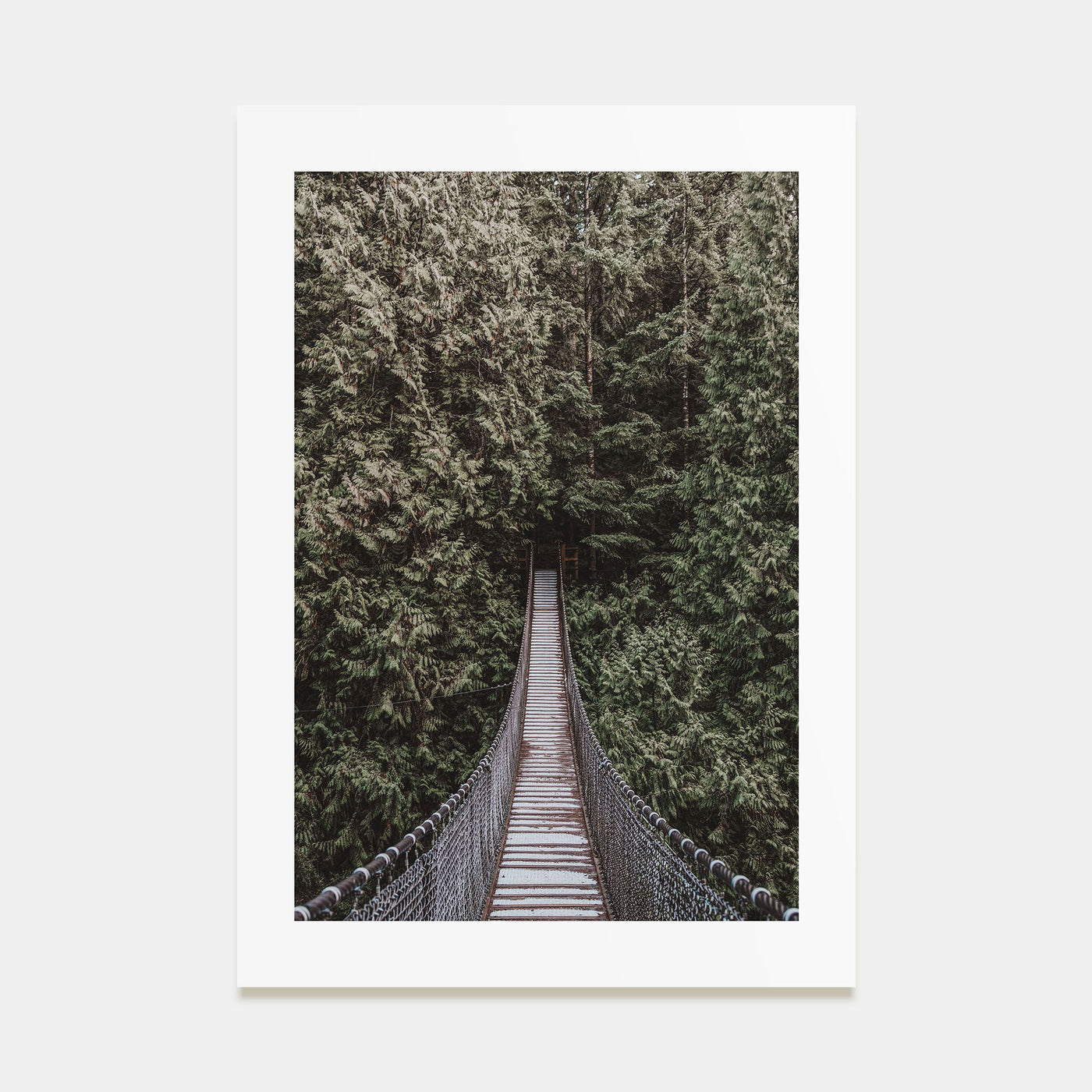 Hanging Bridge Photo Color Poster