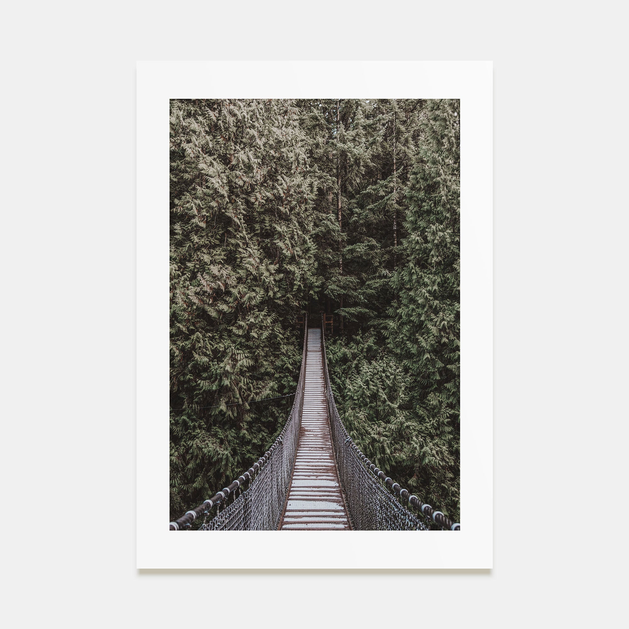 Hanging Bridge Photo Color Poster