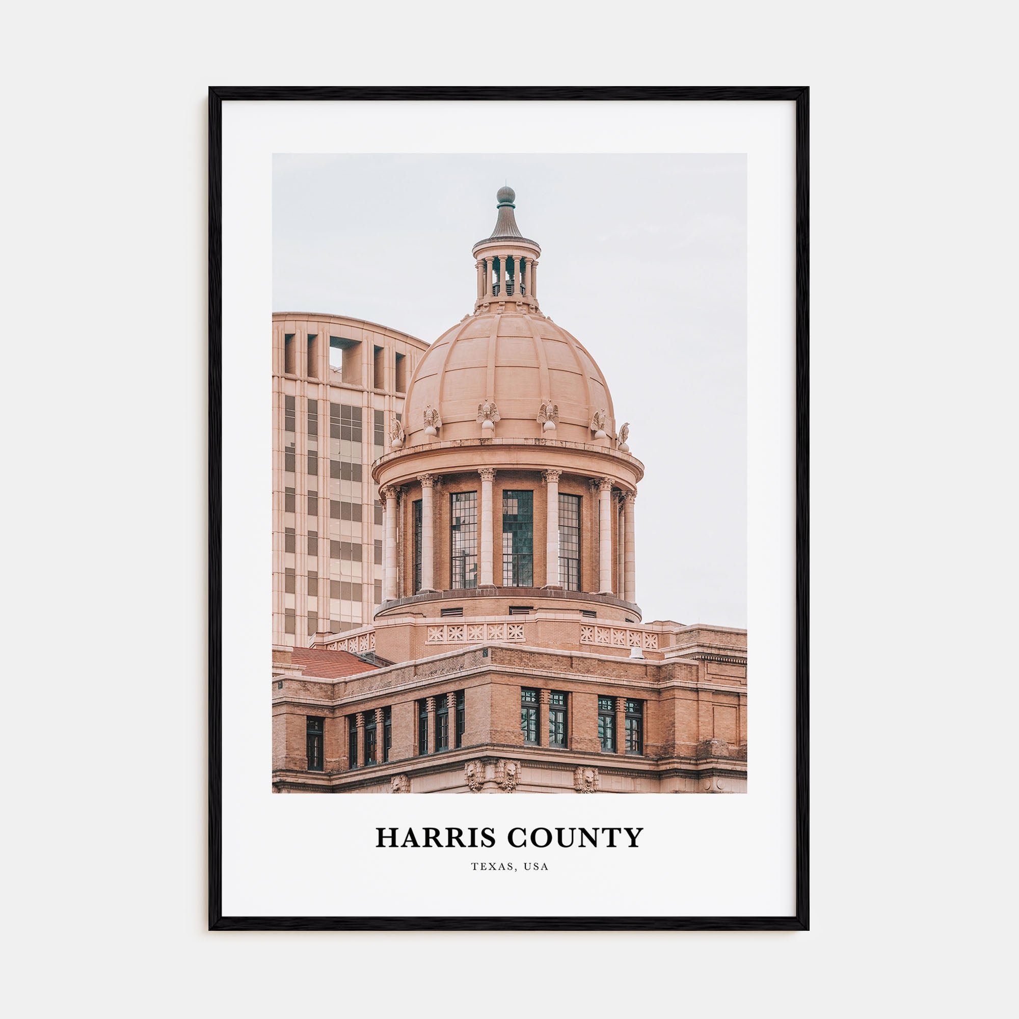 Harris County Portrait Color Poster