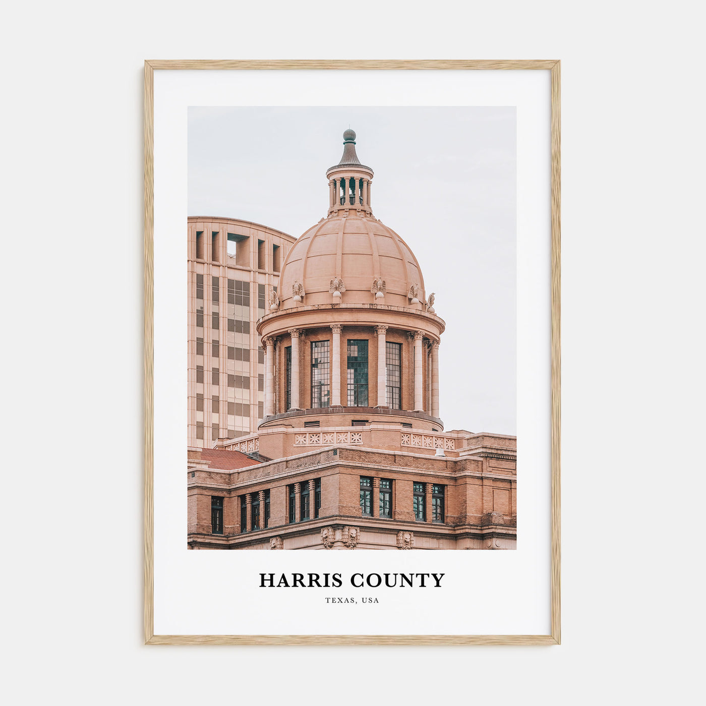 Harris County Portrait Color Poster