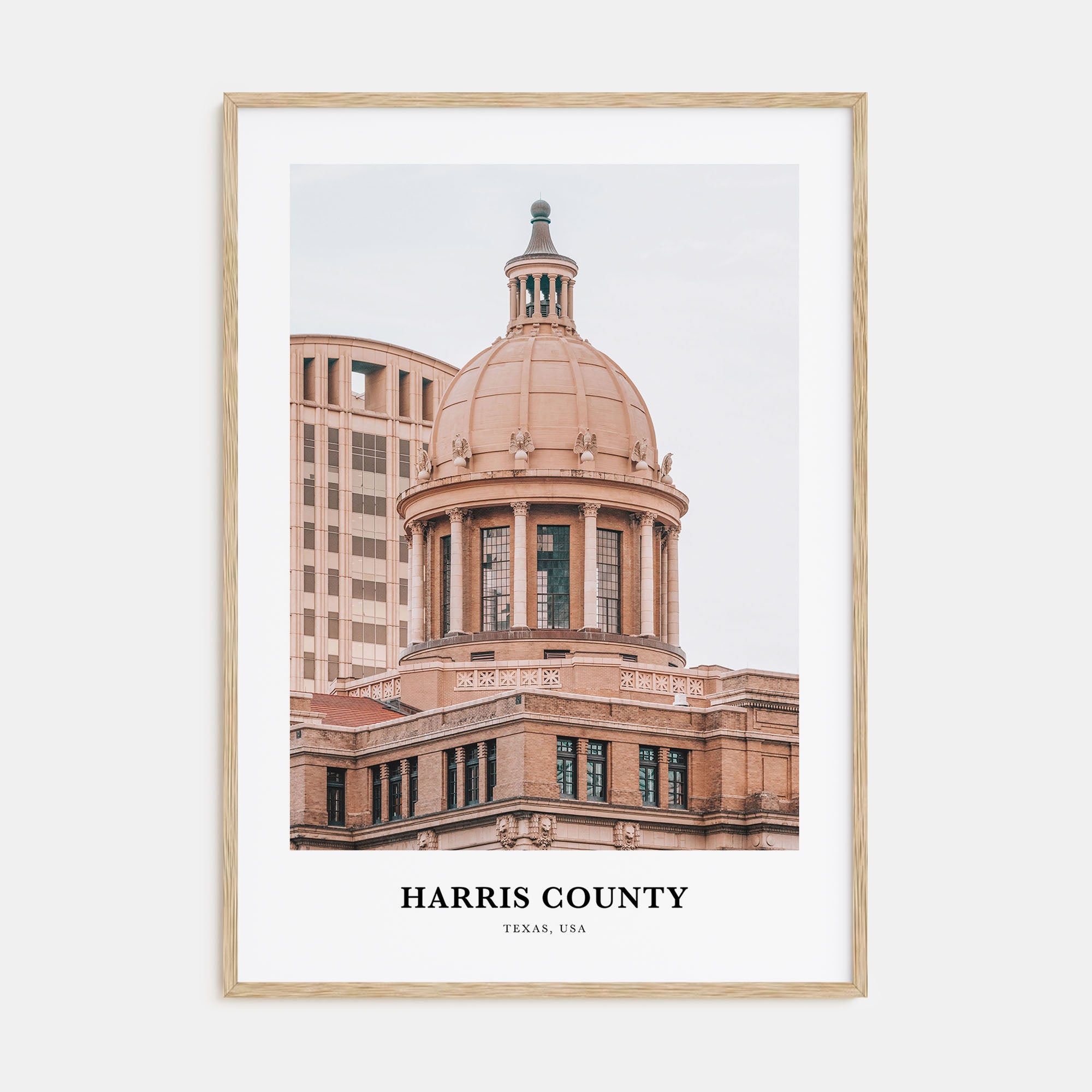 Harris County Portrait Color Poster