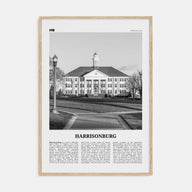 Harrisonburg Travel B&W Poster
