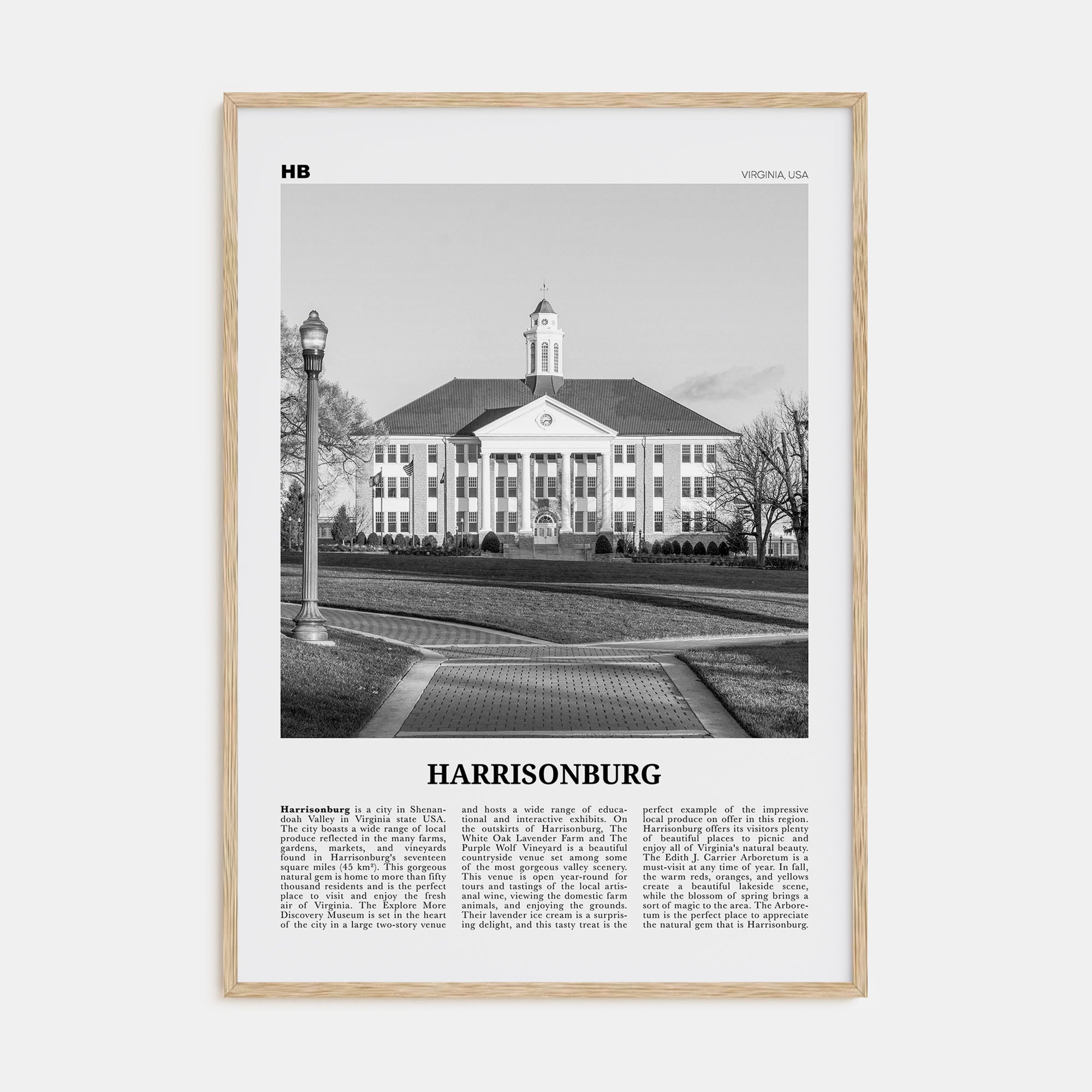 Harrisonburg Travel B&W Poster