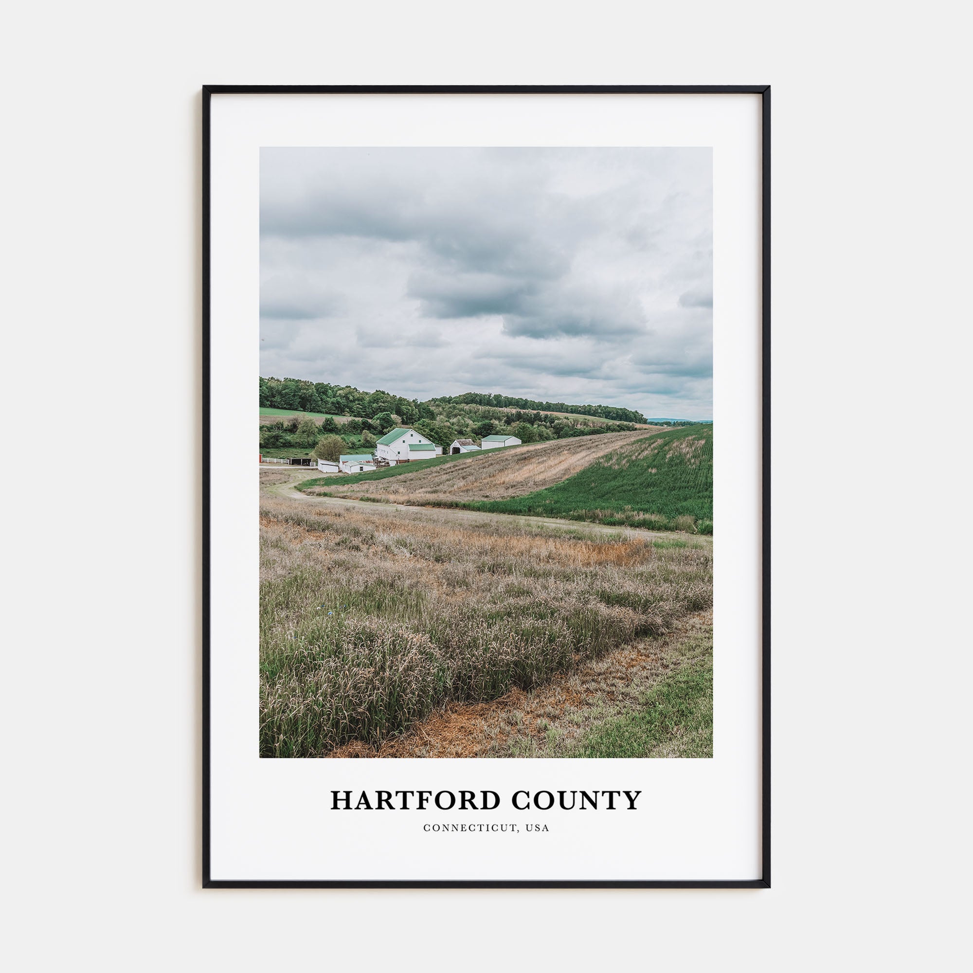 Hartford County Portrait Color Poster
