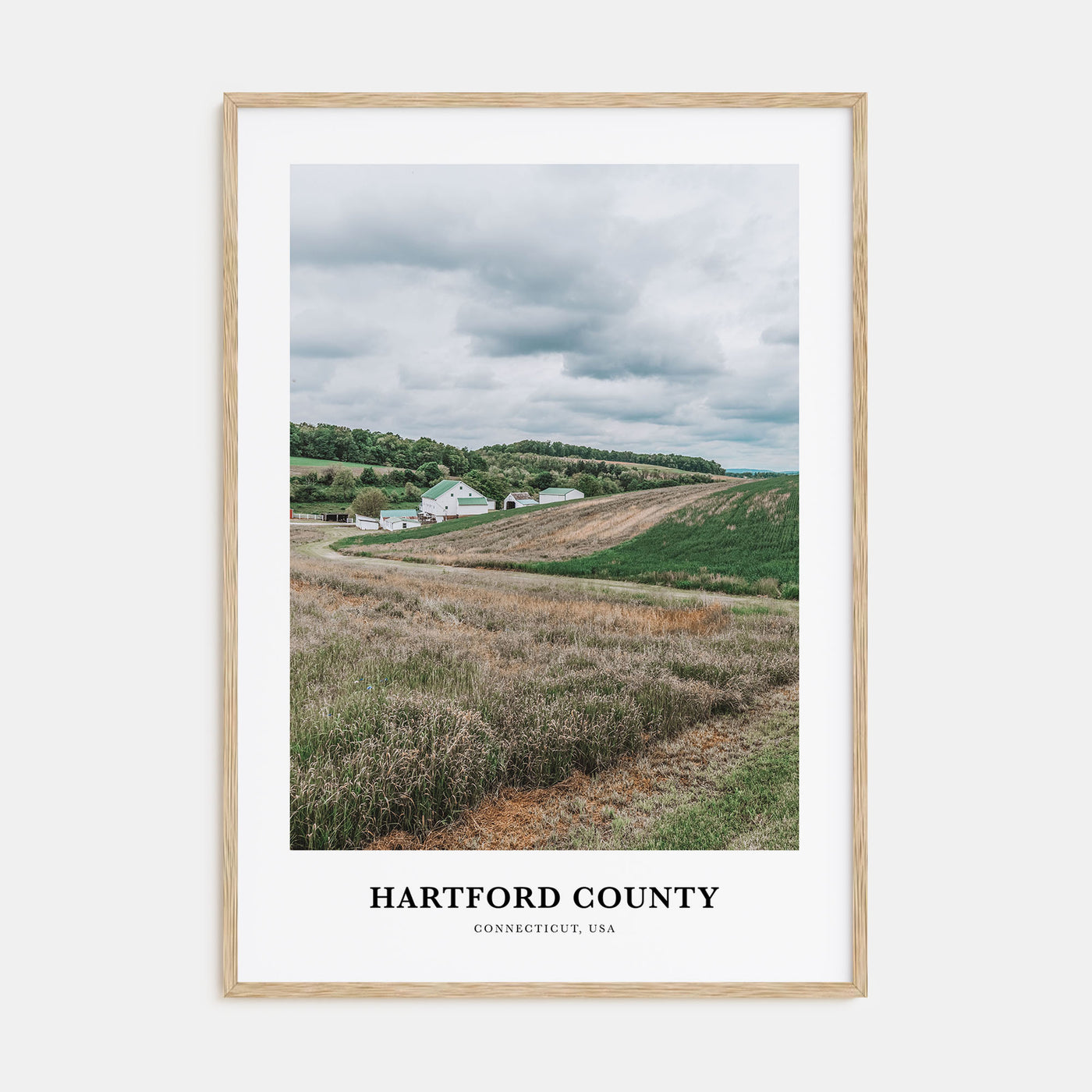 Hartford County Portrait Color Poster