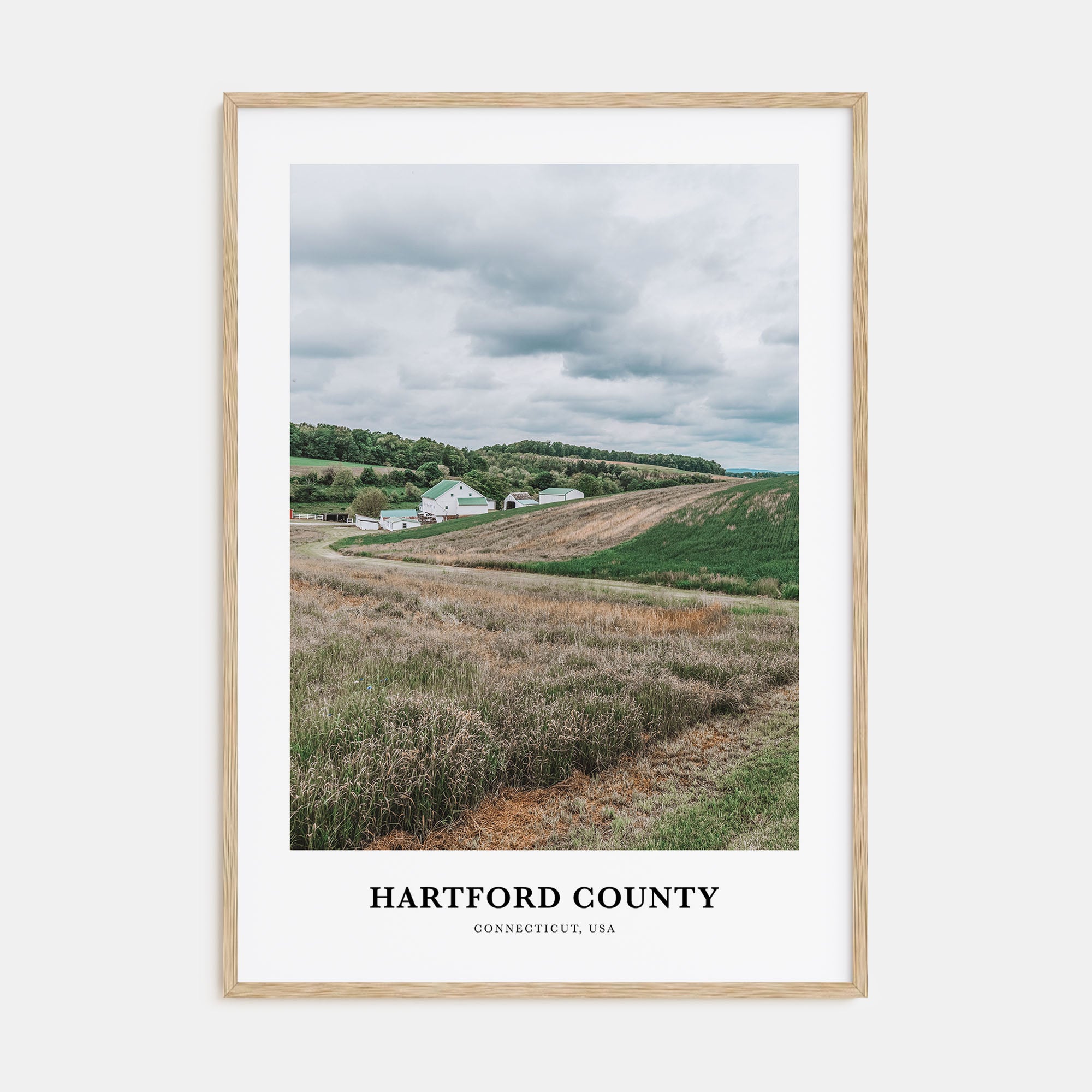 Hartford County Portrait Color Poster
