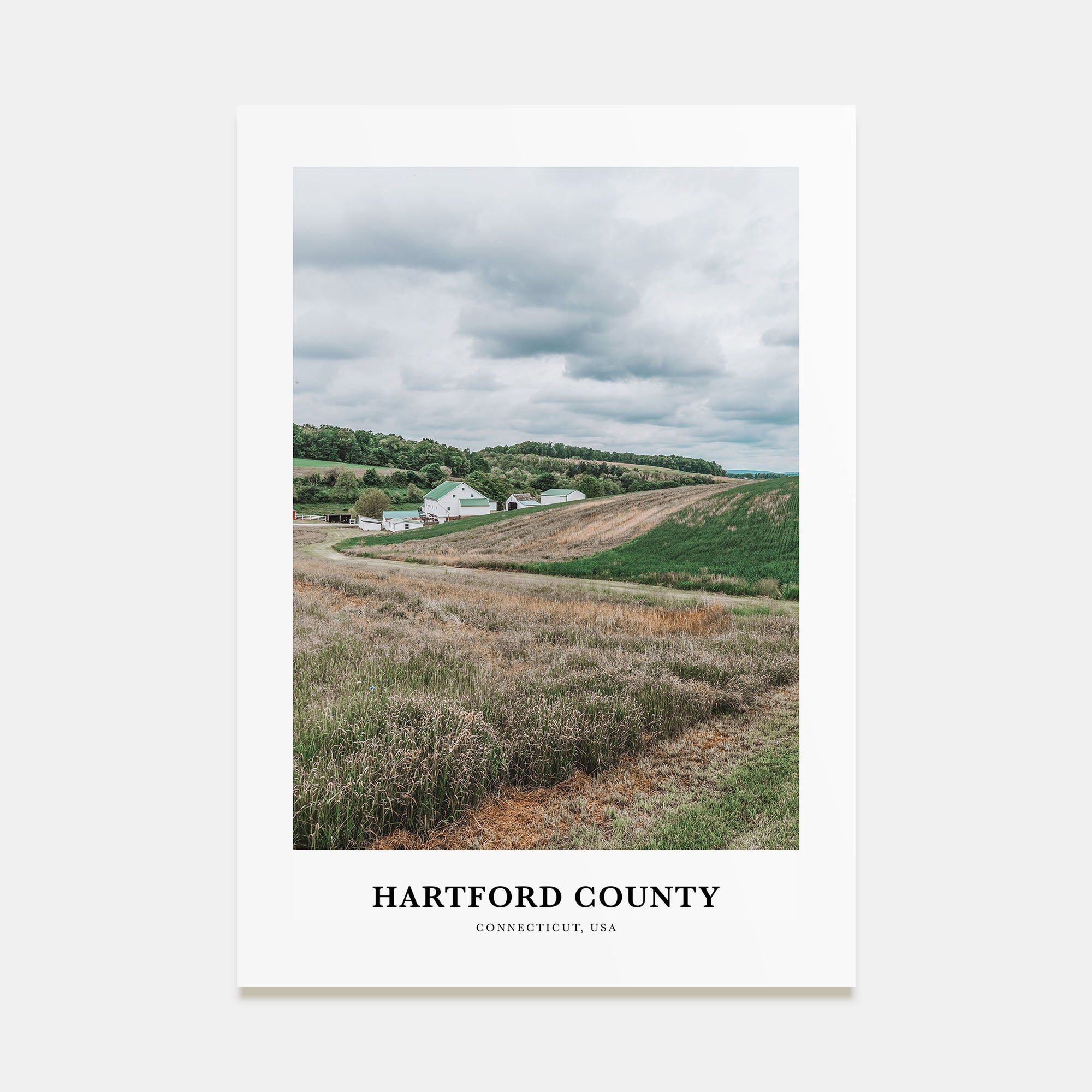 Hartford County Portrait Color Poster