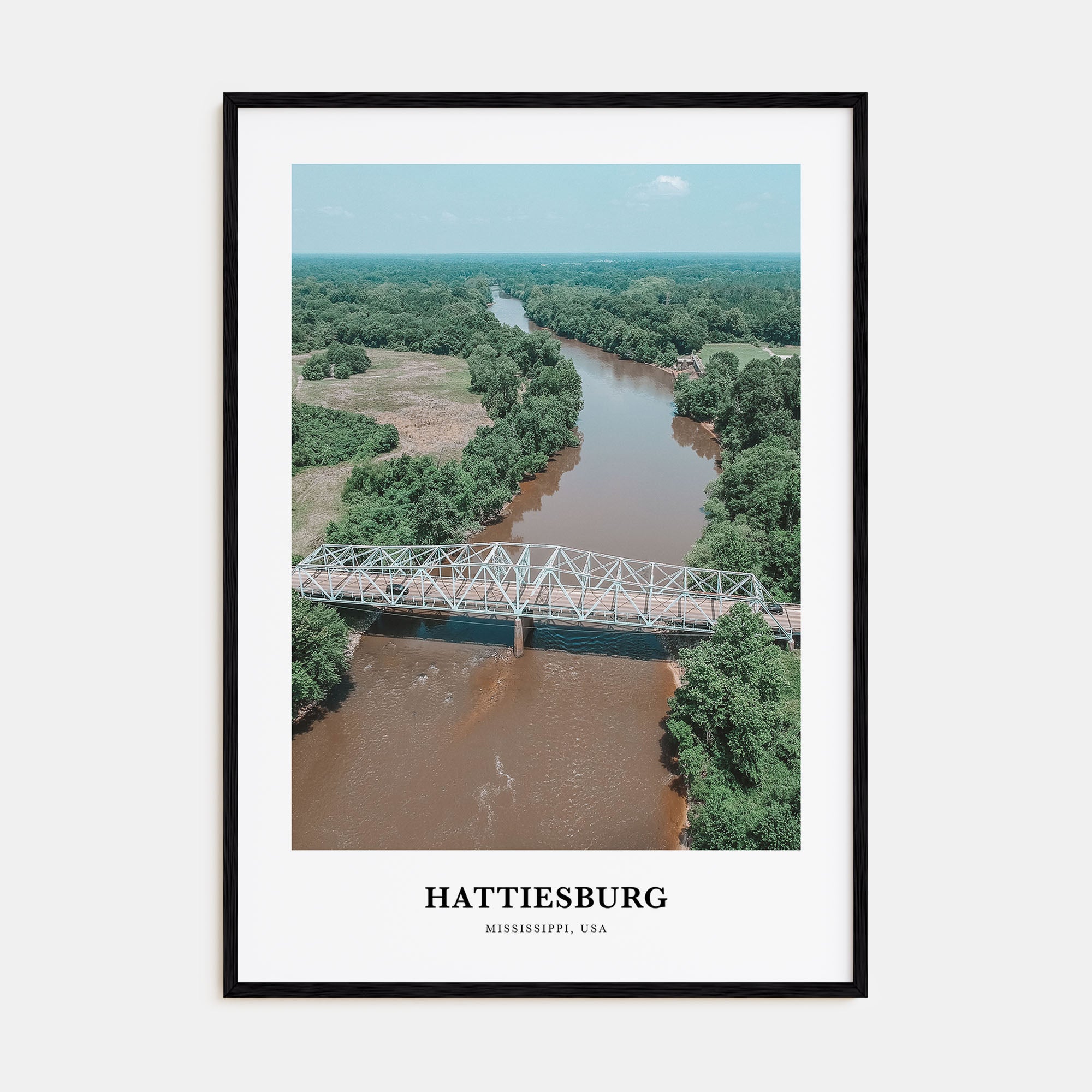 Hattiesburg Portrait Color Poster