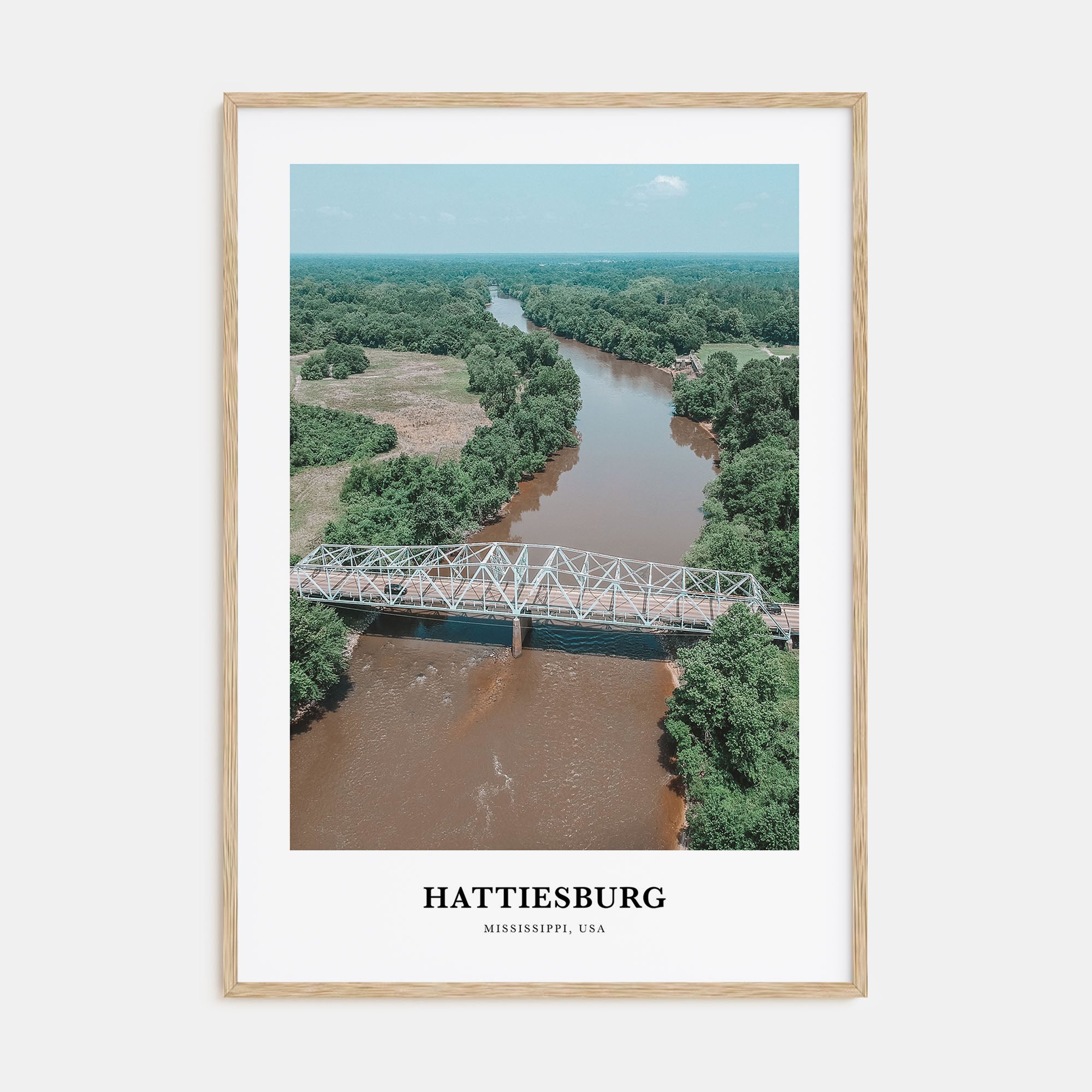 Hattiesburg Portrait Color Poster