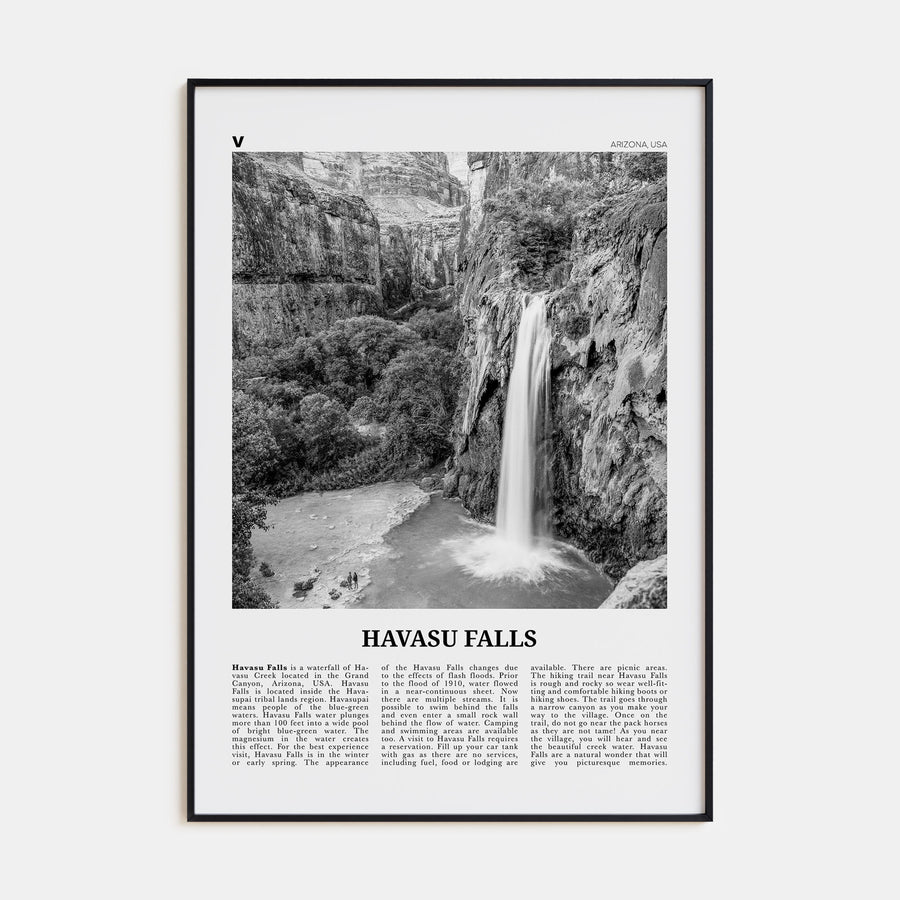 Havasu Falls Travel B&W Poster