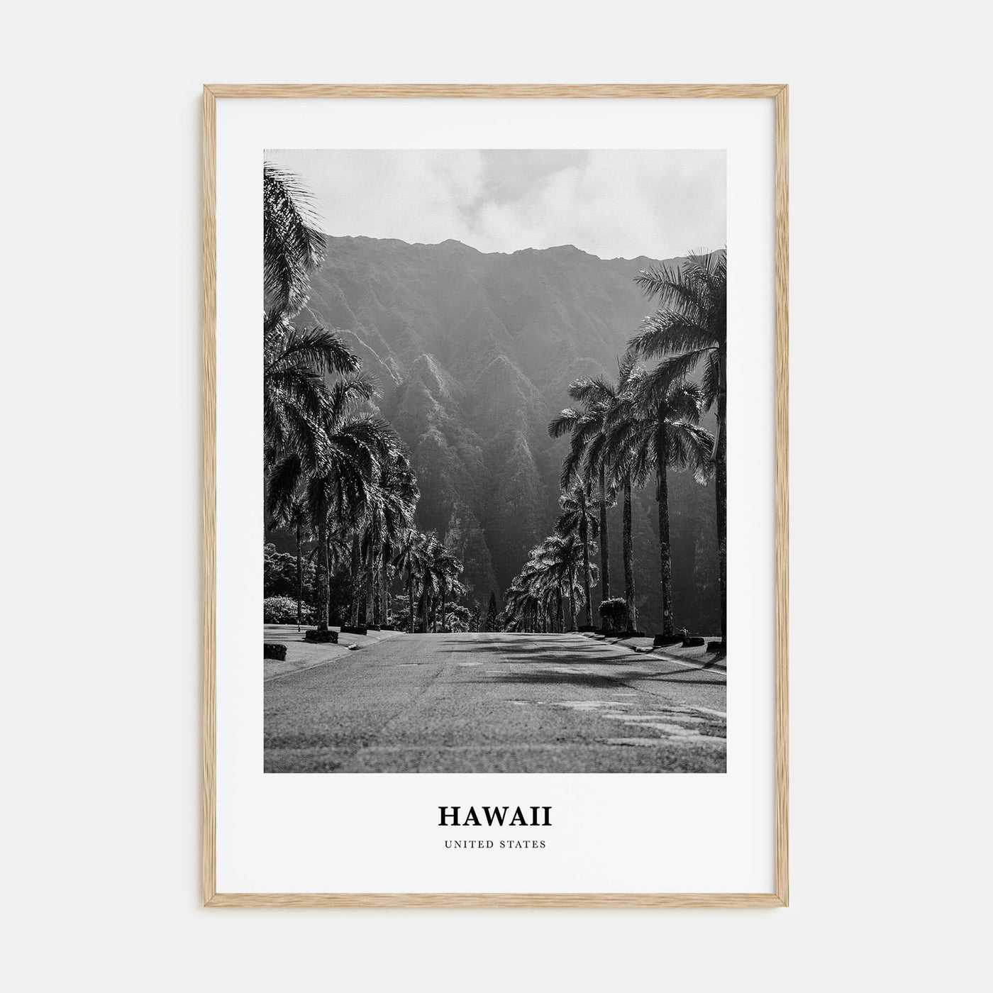 Hawaii Portrait B&W No 1 Poster