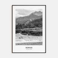 Hawaii Portrait B&W No 3 Poster