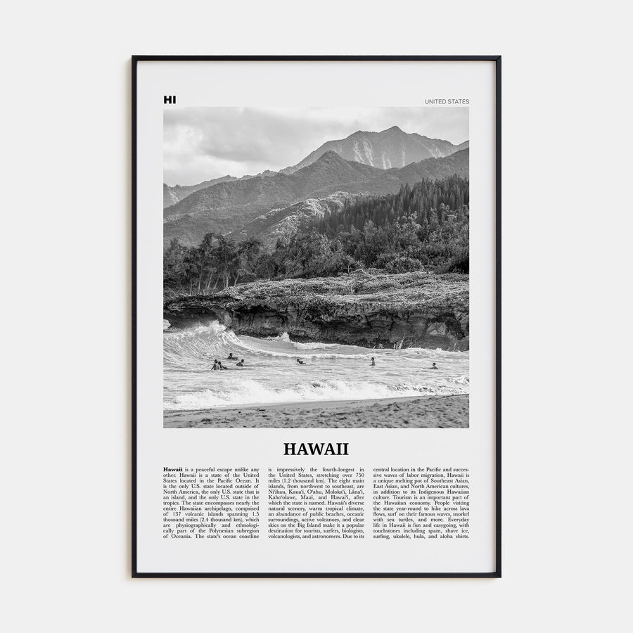 Hawaii Travel B&W No 1 Poster