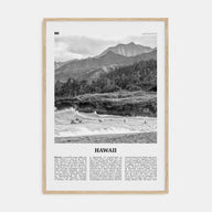 Hawaii Travel B&W No 1 Poster