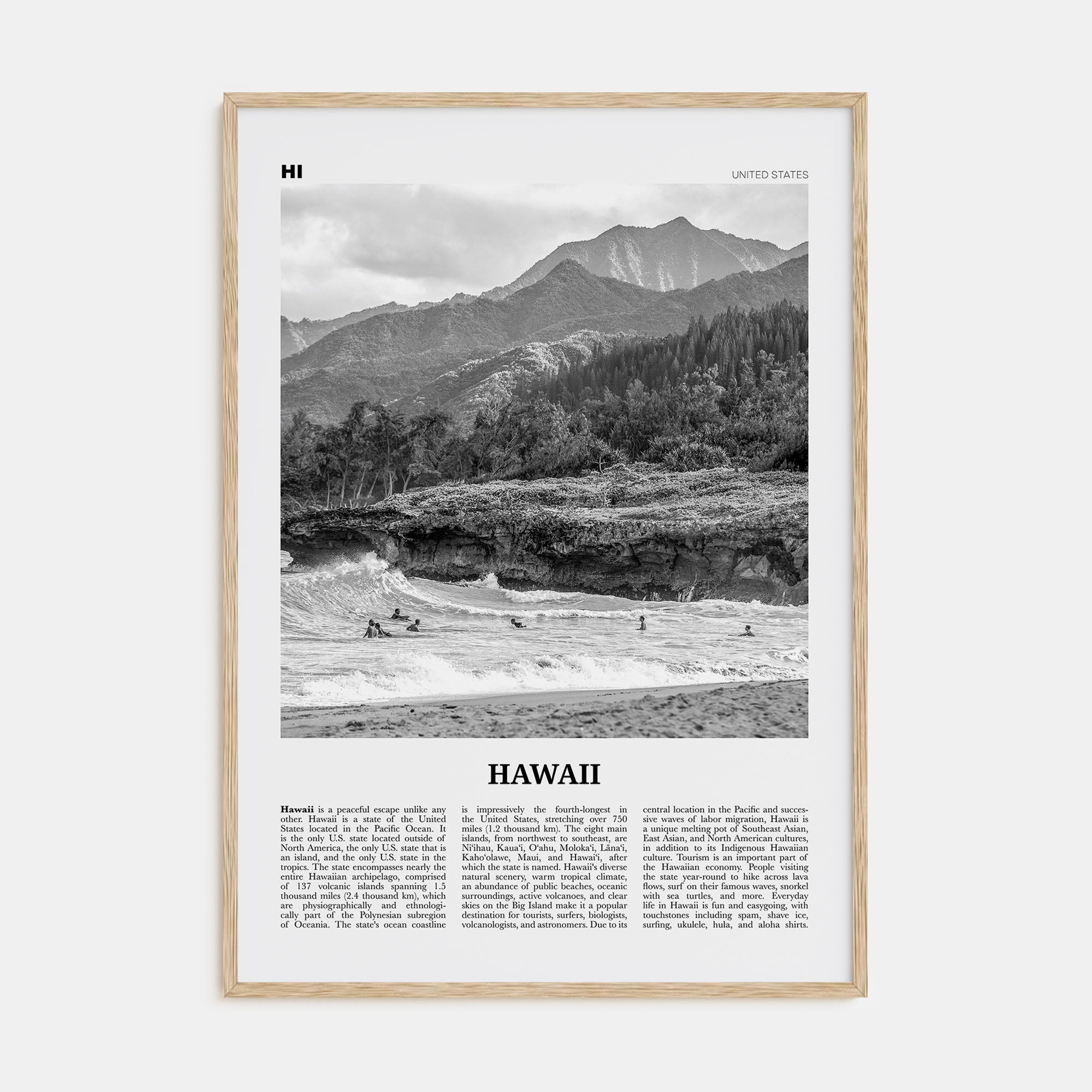Hawaii Travel B&W No 1 Poster