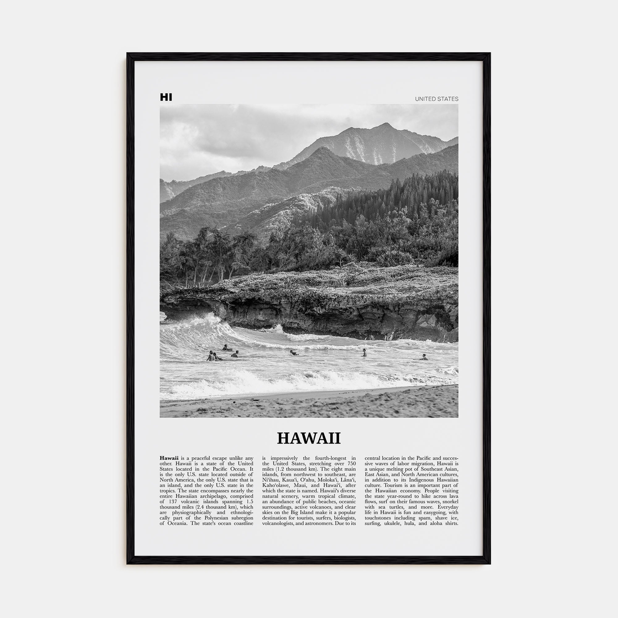 Hawaii Travel B&W No 1 Poster