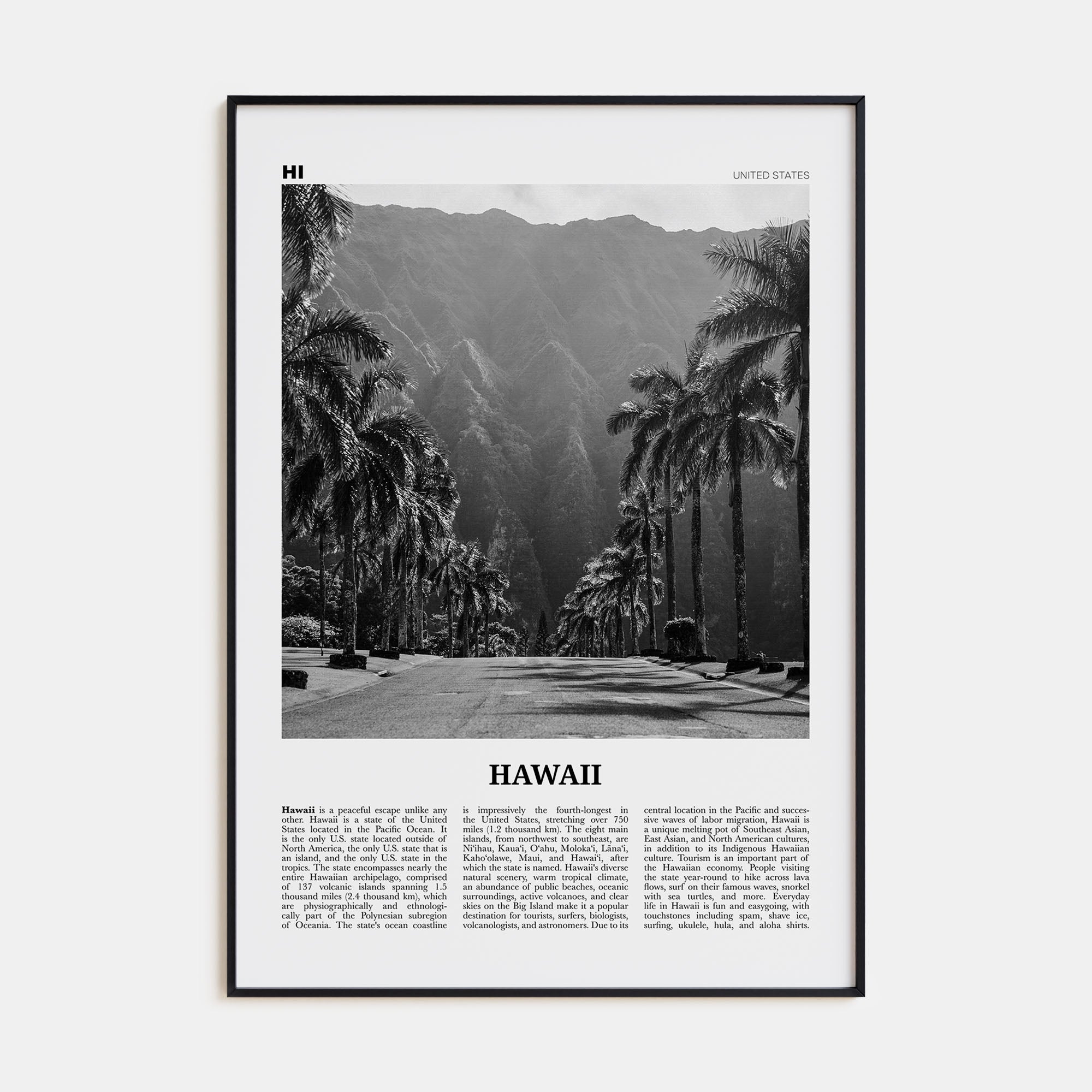 Hawaii Travel B&W No 2 Poster