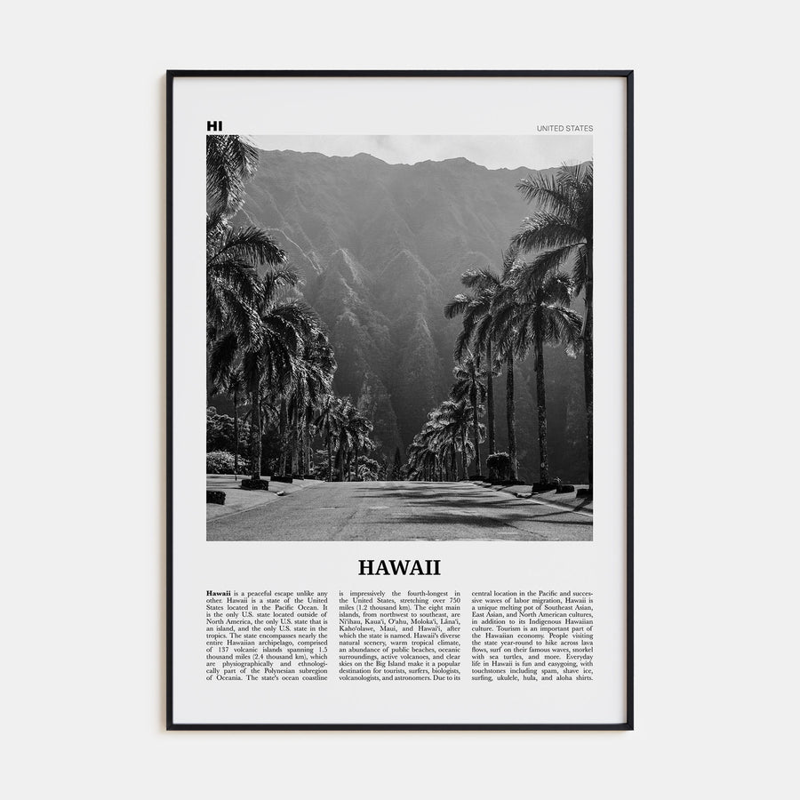 Hawaii Travel B&W No 2 Poster