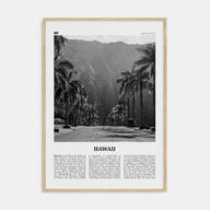 Hawaii Travel B&W No 2 Poster