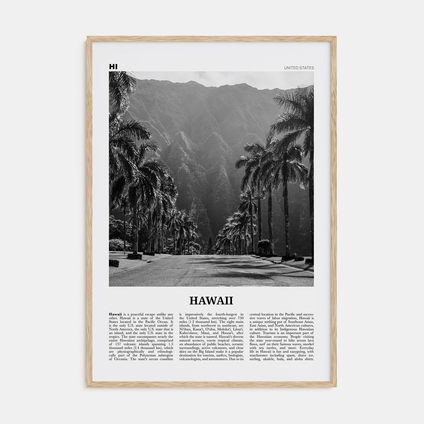 Hawaii Travel B&W No 2 Poster