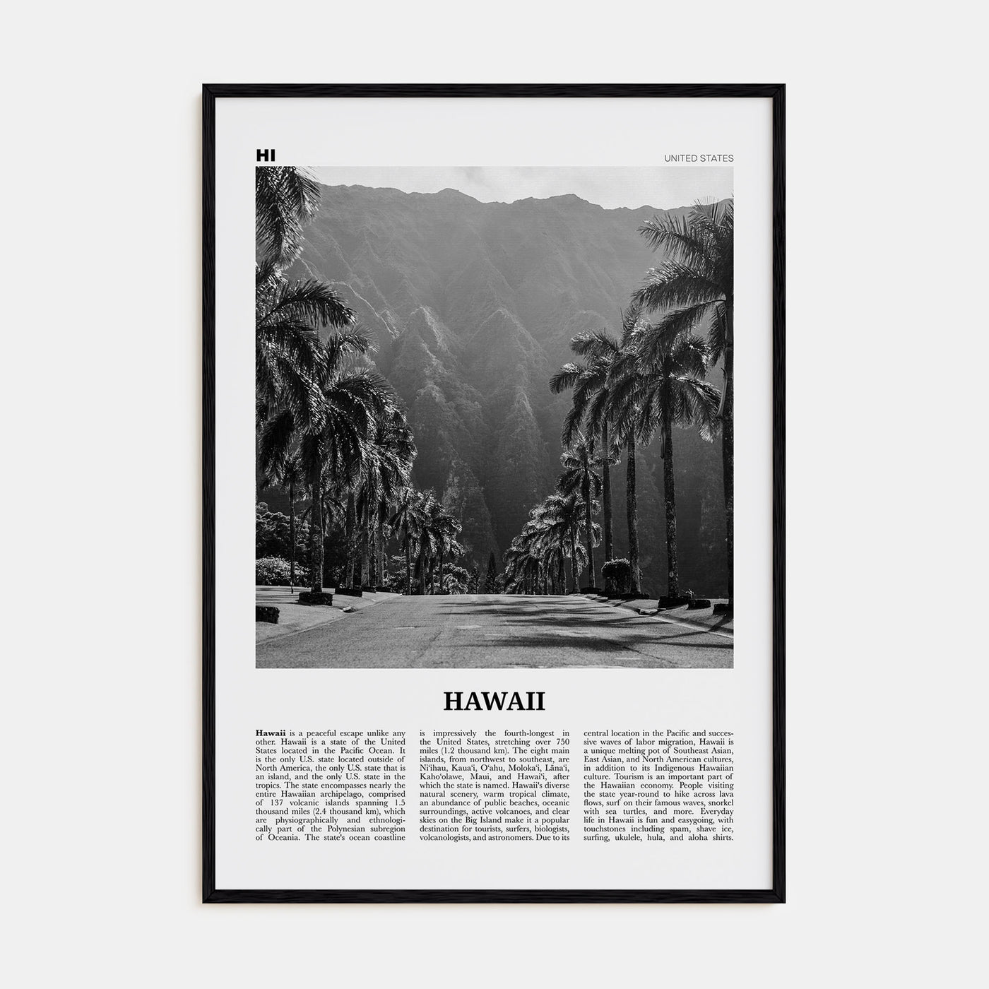 Hawaii Travel B&W No 2 Poster