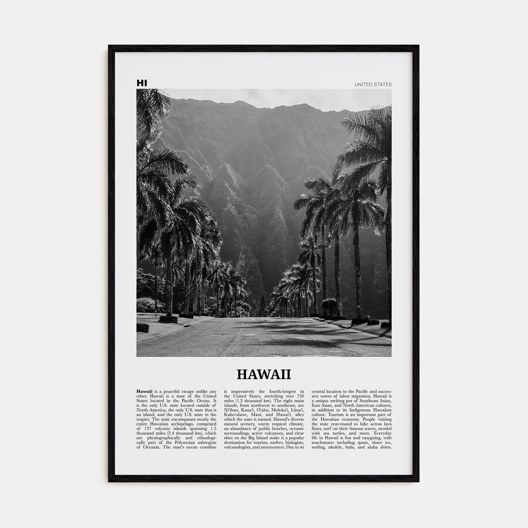 Hawaii Travel B&W No 2 Poster