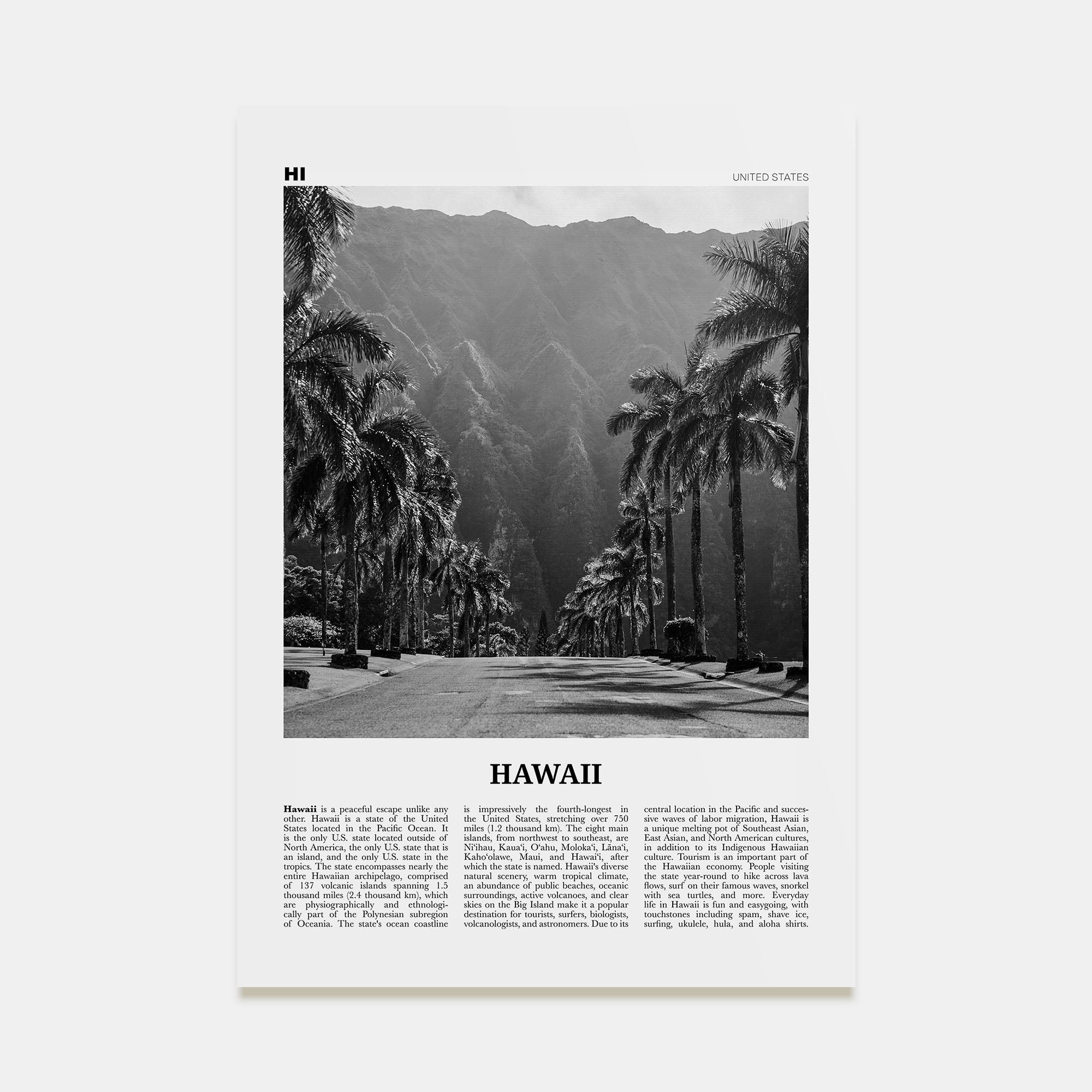 Hawaii Travel B&W No 2 Poster