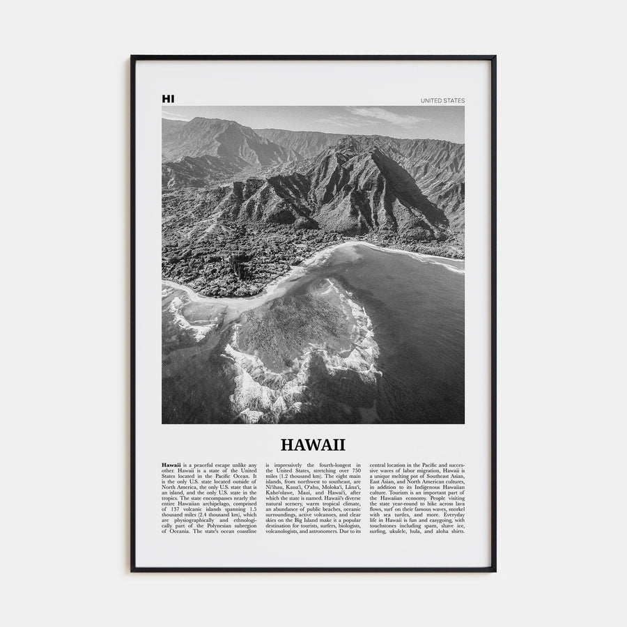 Hawaii Travel B&W No 3 Poster