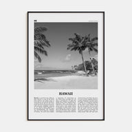 Hawaii Travel B&W No 4 Poster