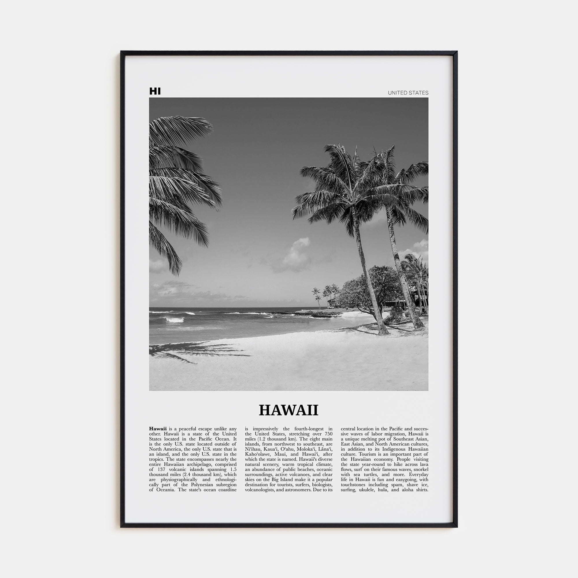 Hawaii Travel B&W No 4 Poster