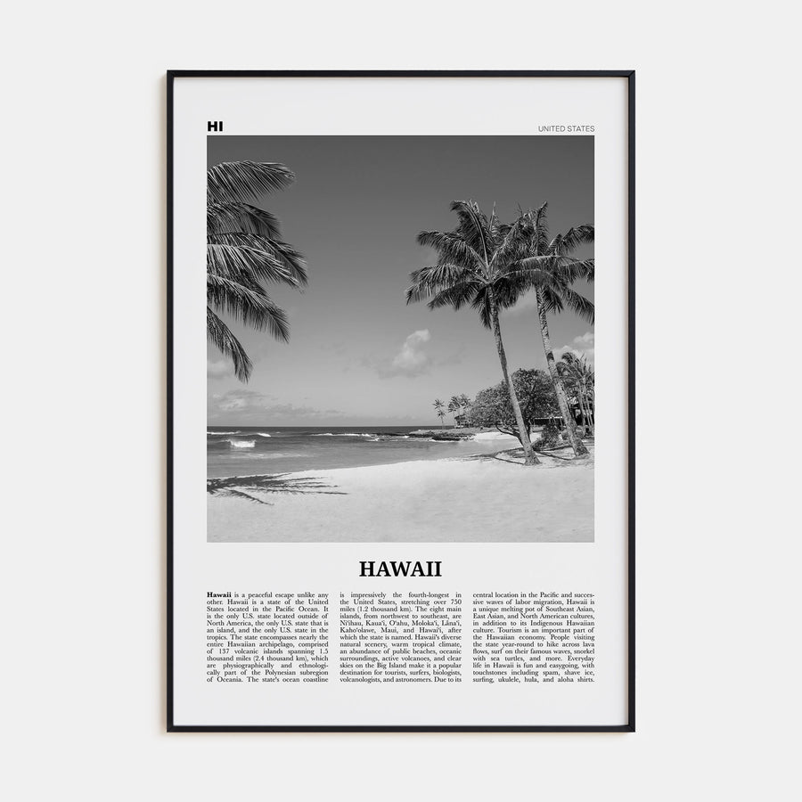 Hawaii Travel B&W No 4 Poster