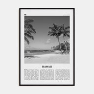 Hawaii Travel B&W No 4 Poster