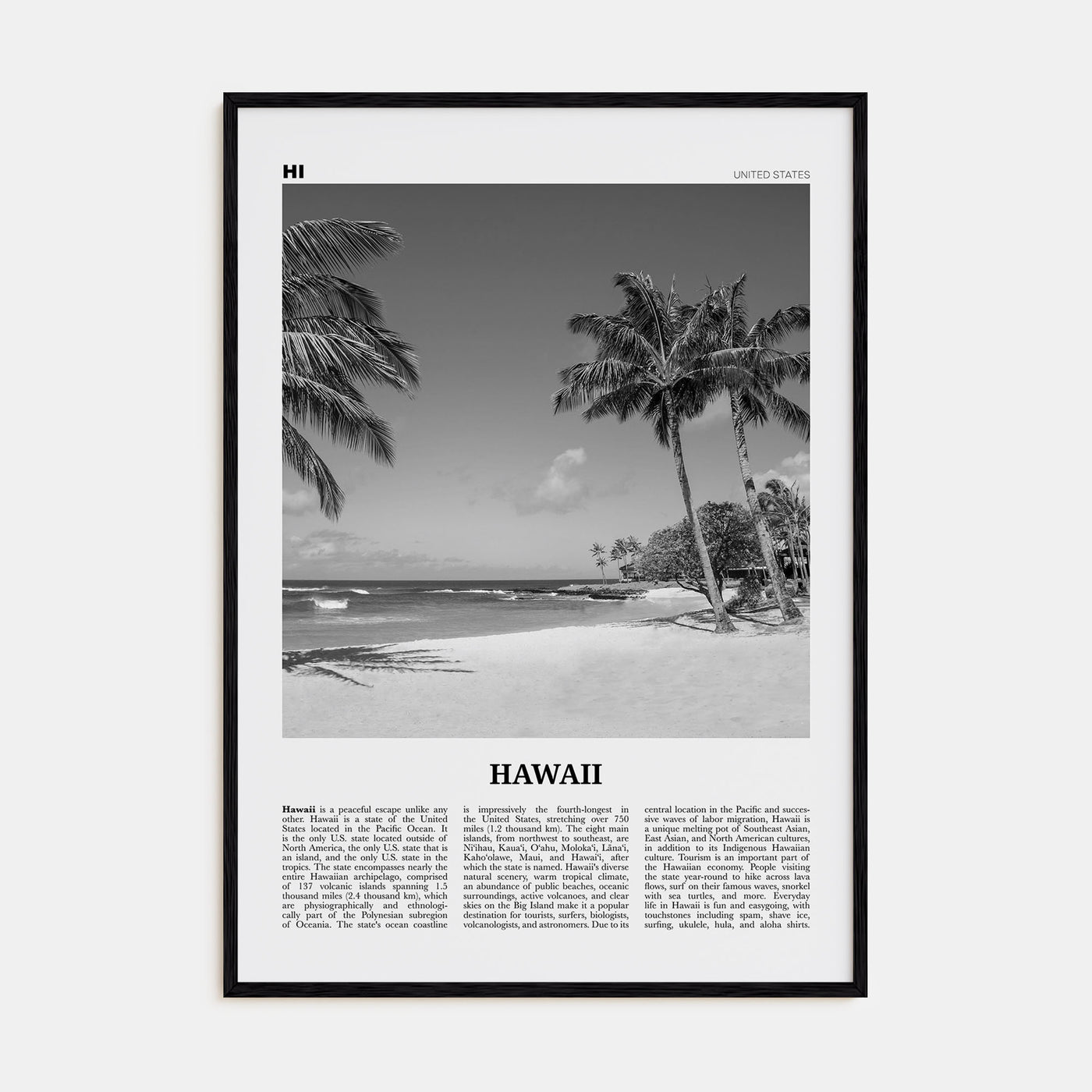Hawaii Travel B&W No 4 Poster