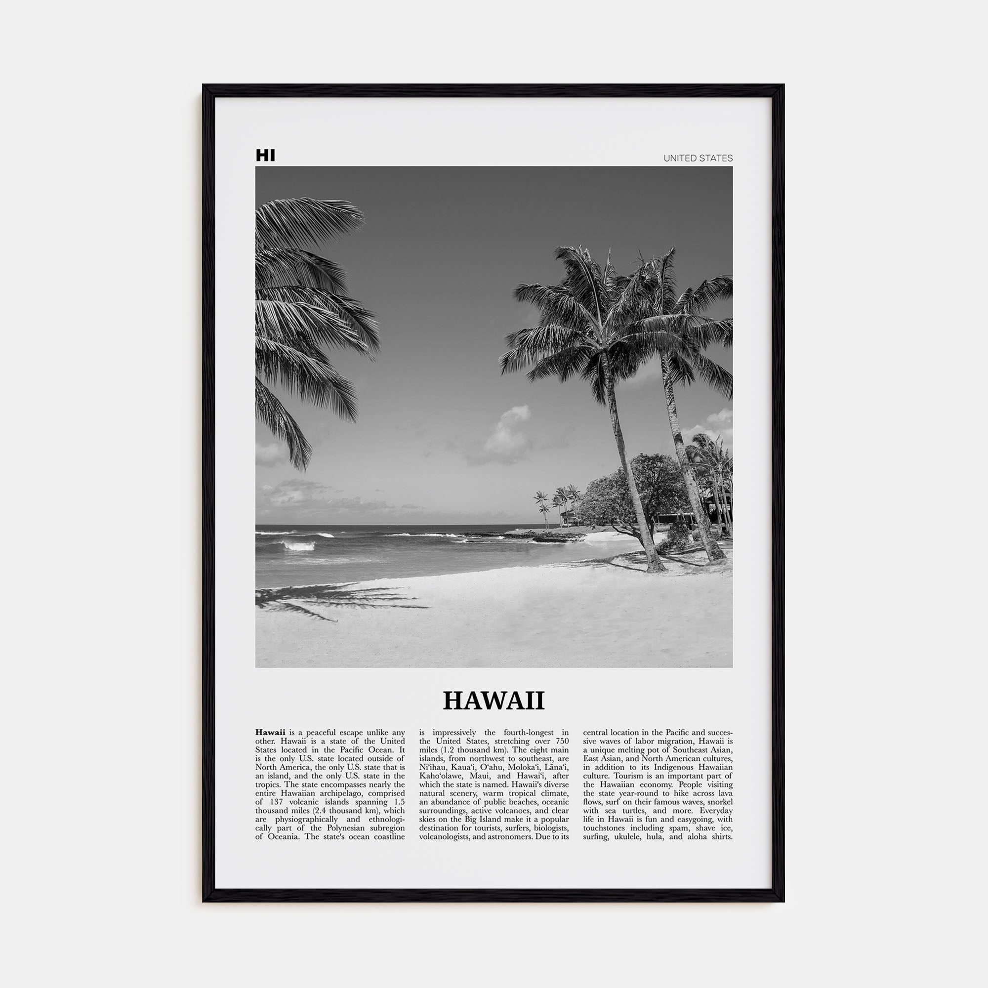 Hawaii Travel B&W No 4 Poster