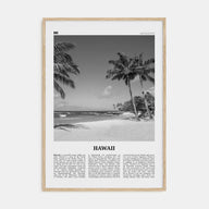Hawaii Travel B&W No 4 Poster