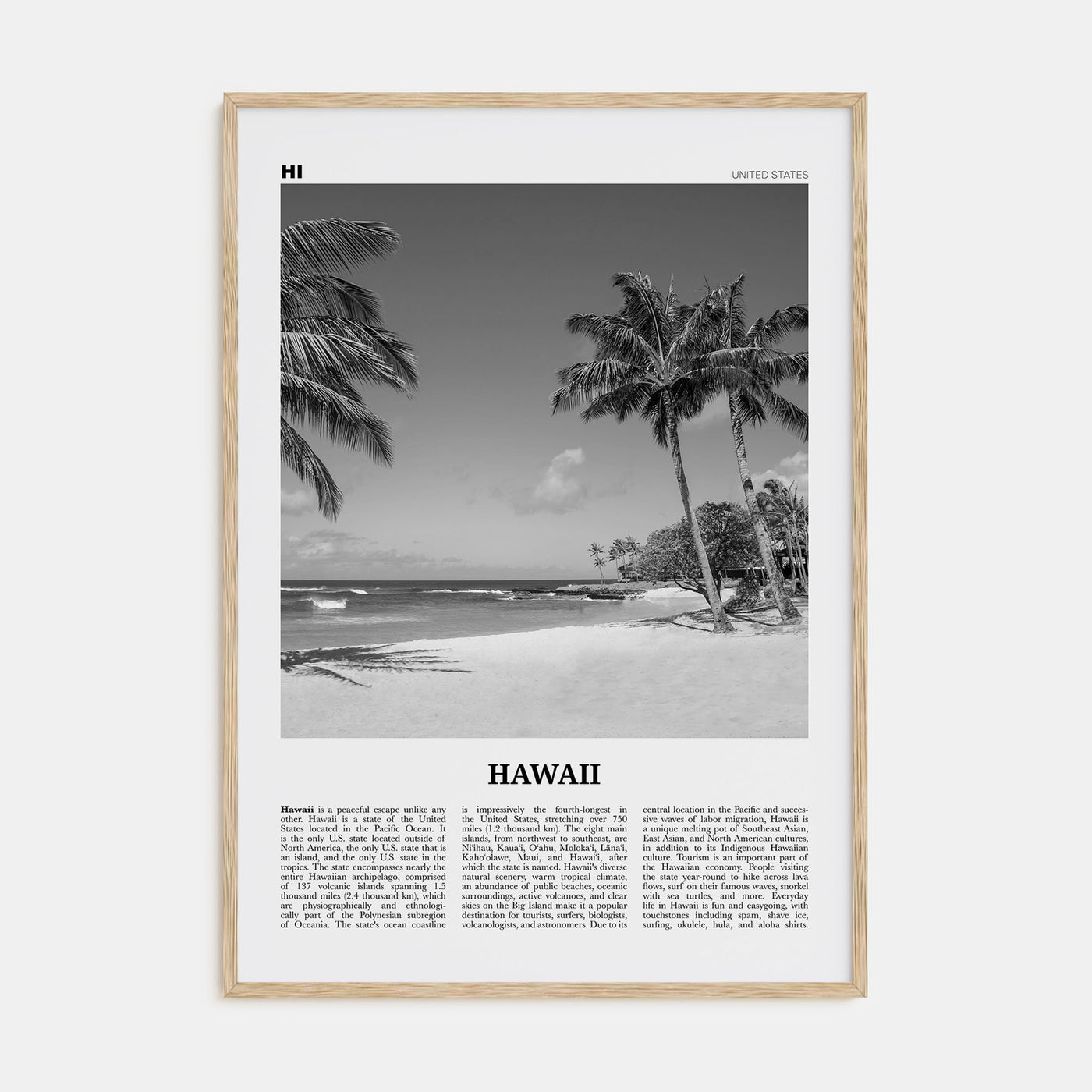Hawaii Travel B&W No 4 Poster