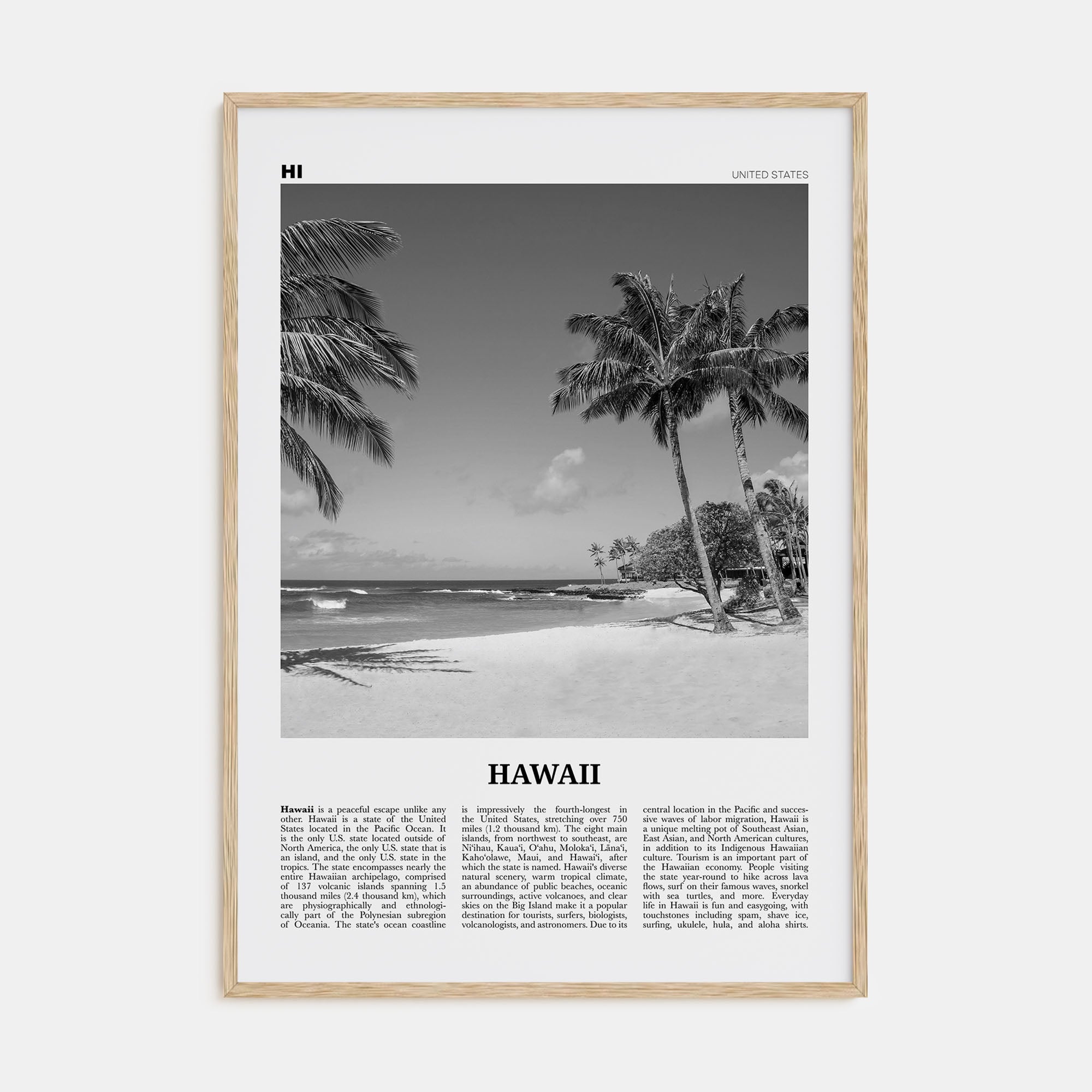 Hawaii Travel B&W No 4 Poster