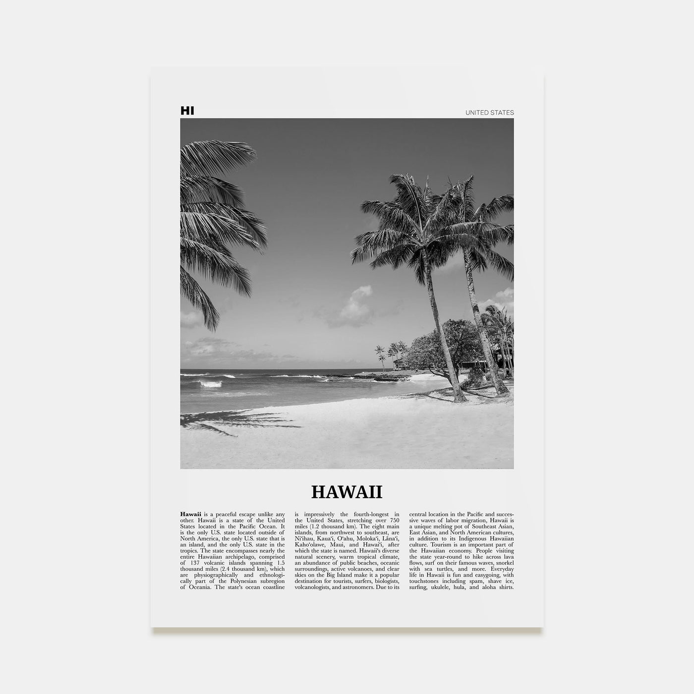 Hawaii Travel B&W No 4 Poster
