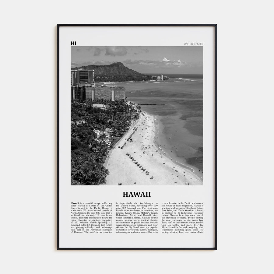 Hawaii Travel B&W No 5 Poster