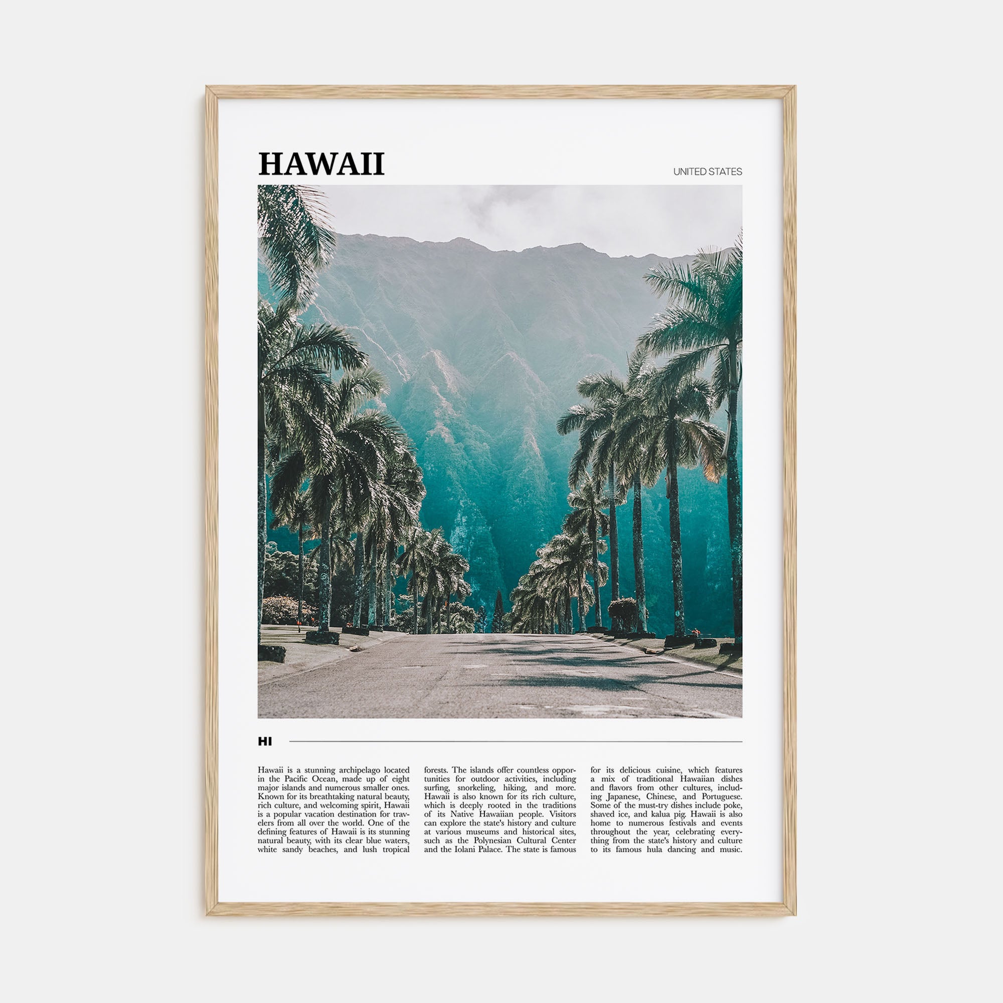 Hawaii Travel Color No 1 Poster