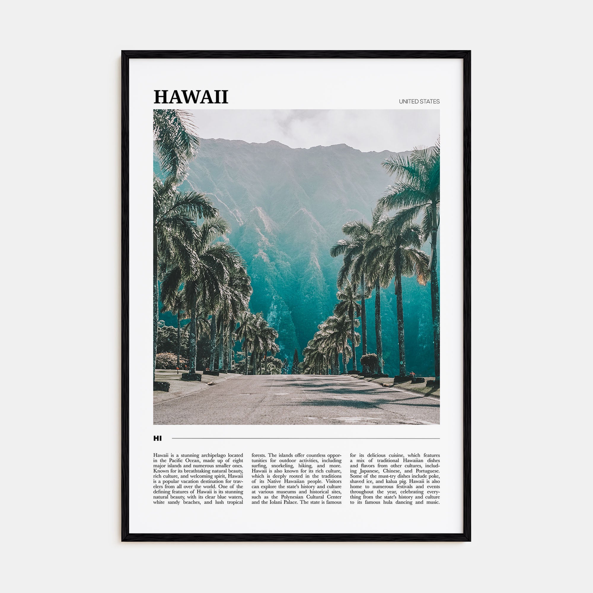 Hawaii Travel Color No 1 Poster