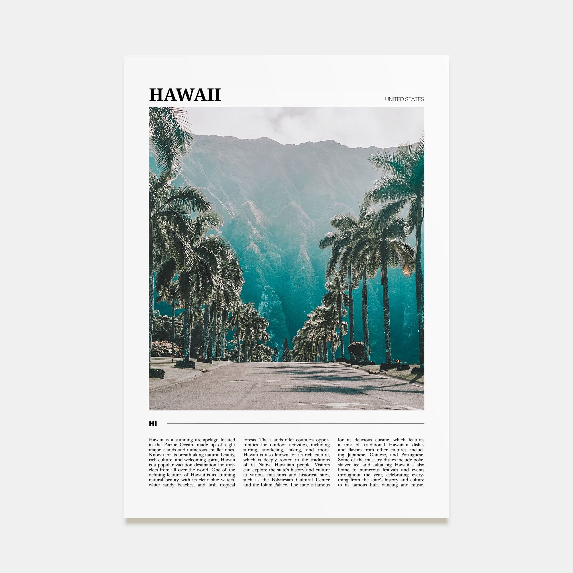 Hawaii Travel Color No 1 Poster