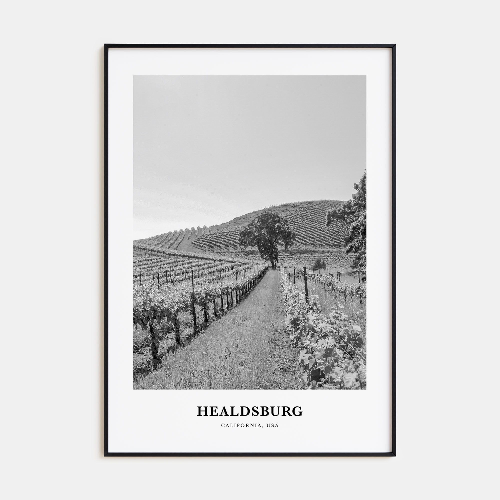 Healdsburg Portrait B&W Poster