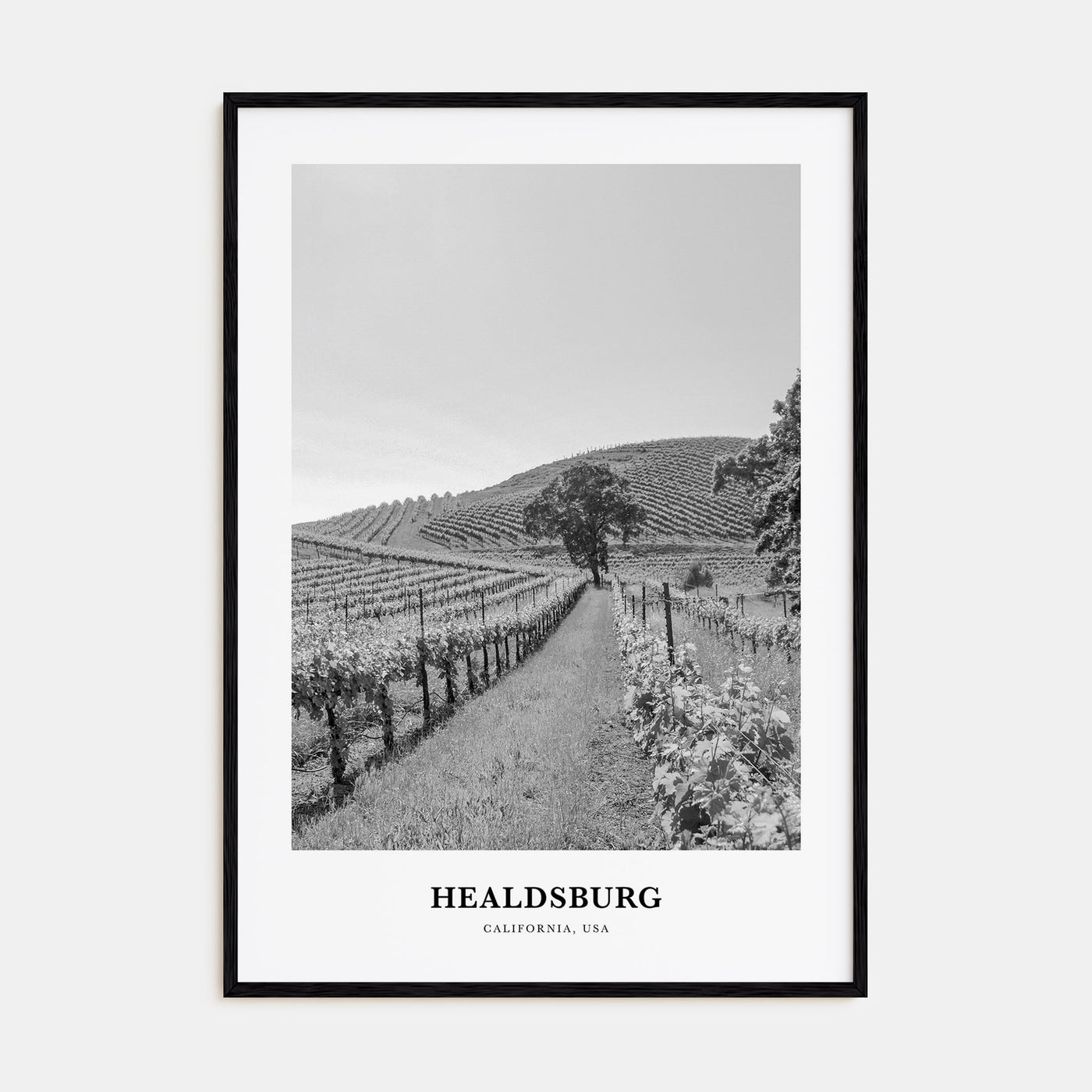 Healdsburg Portrait B&W Poster