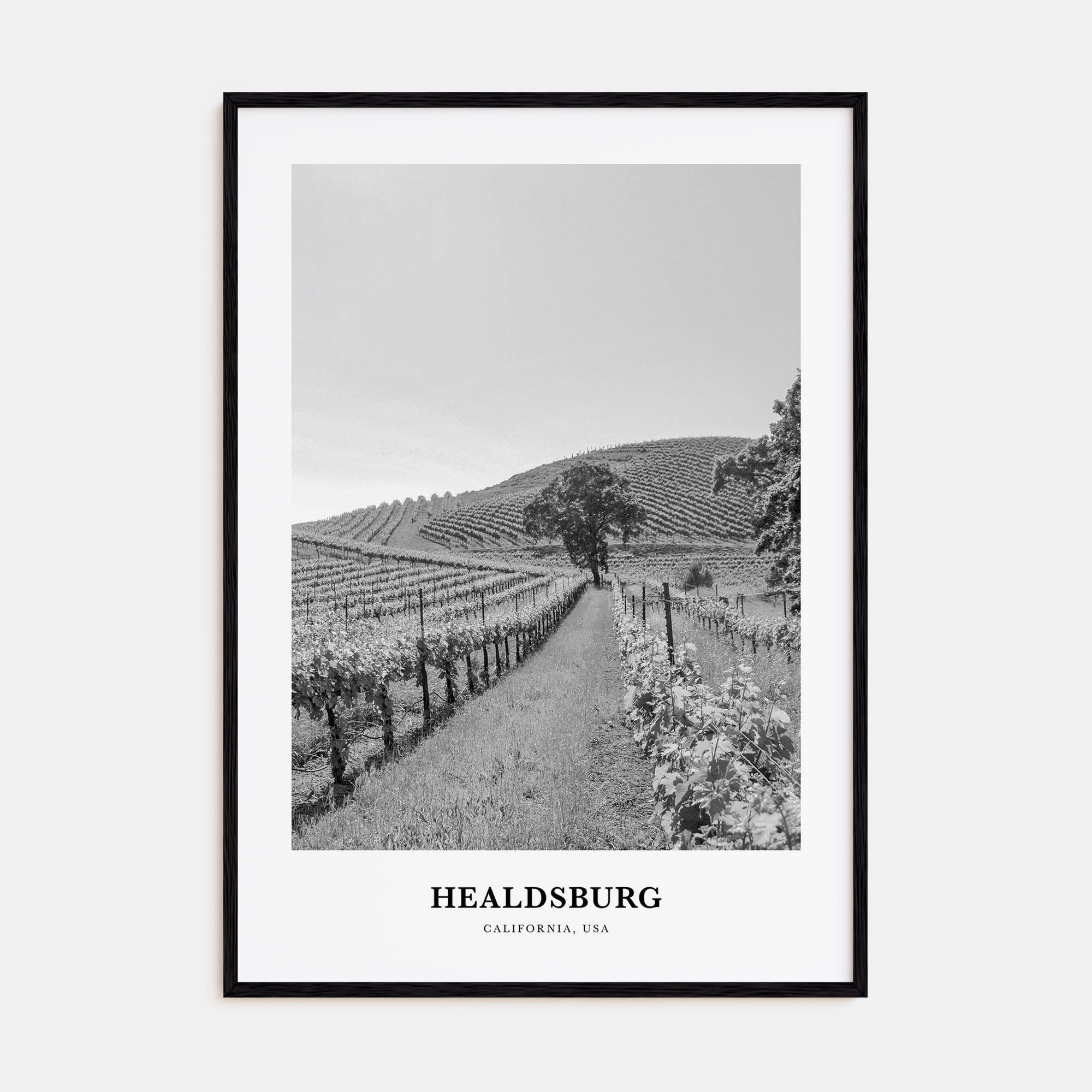 Healdsburg Portrait B&W Poster