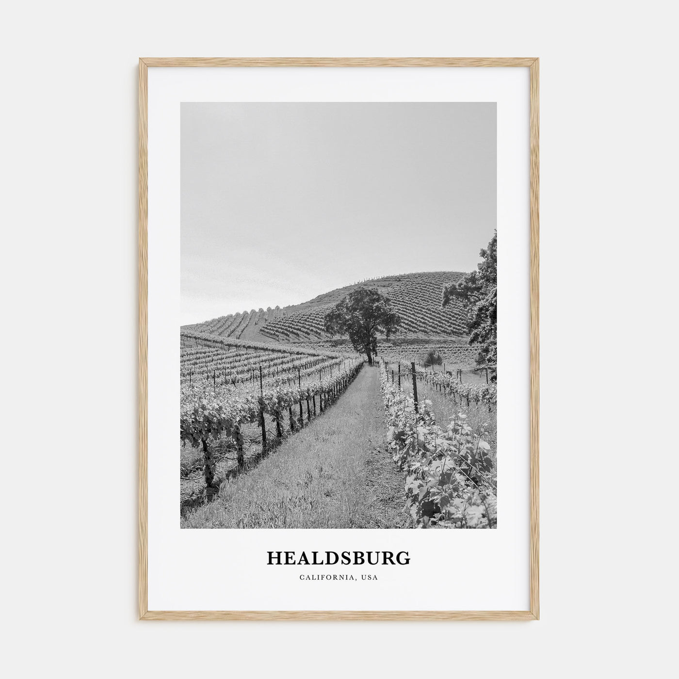 Healdsburg Portrait B&W Poster