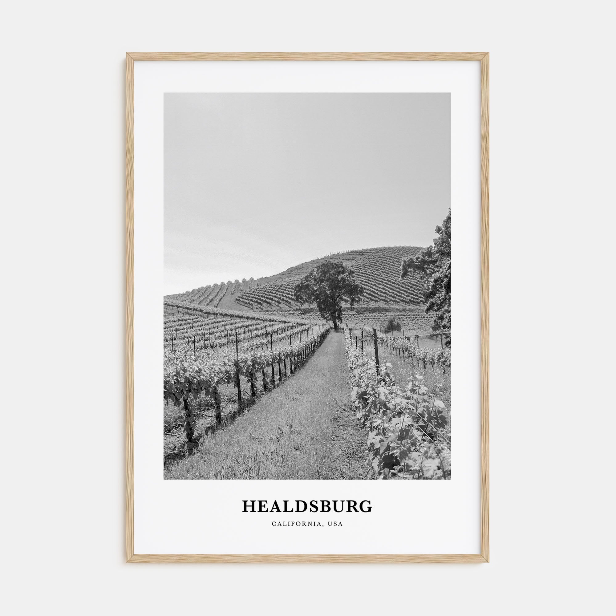 Healdsburg Portrait B&W Poster