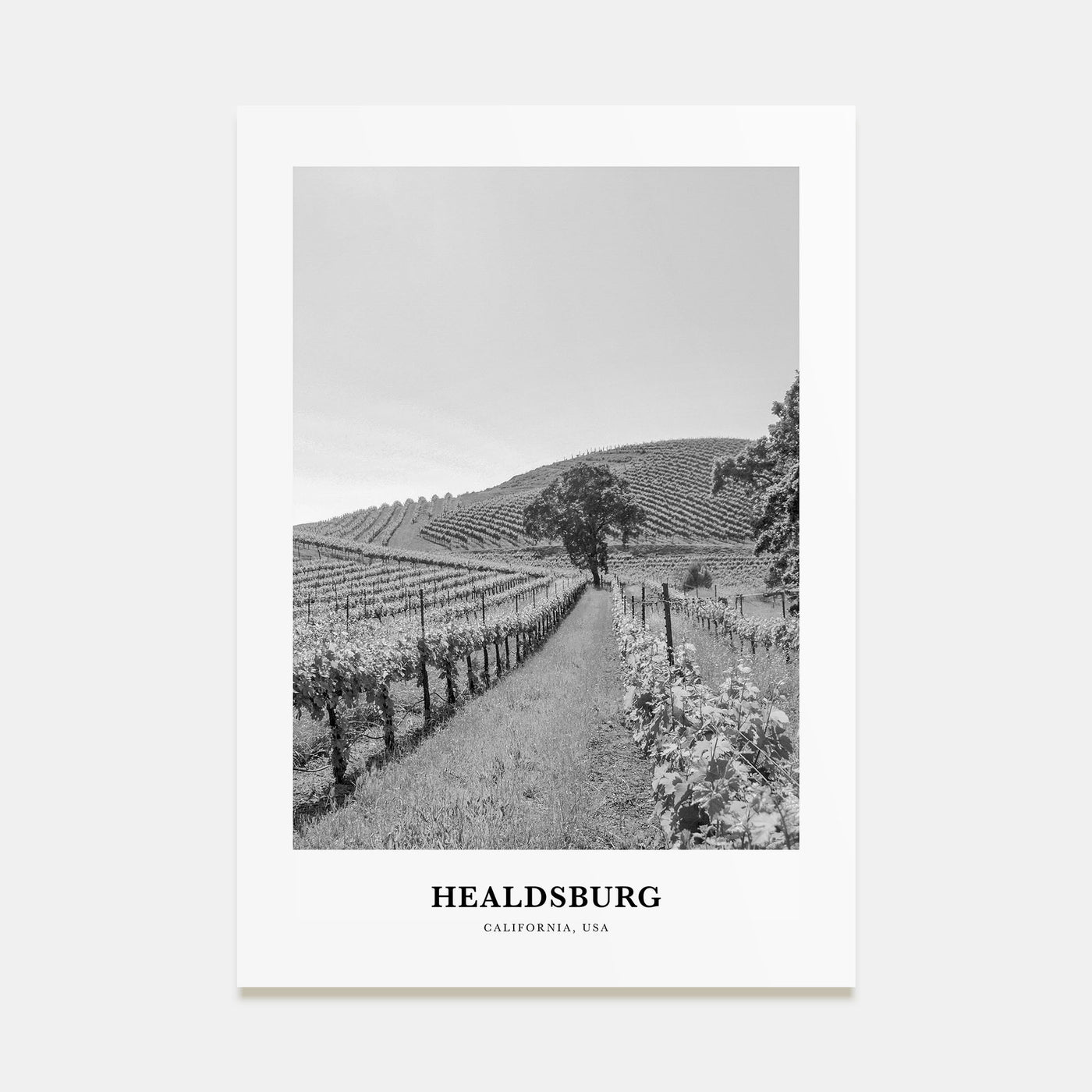 Healdsburg Portrait B&W Poster