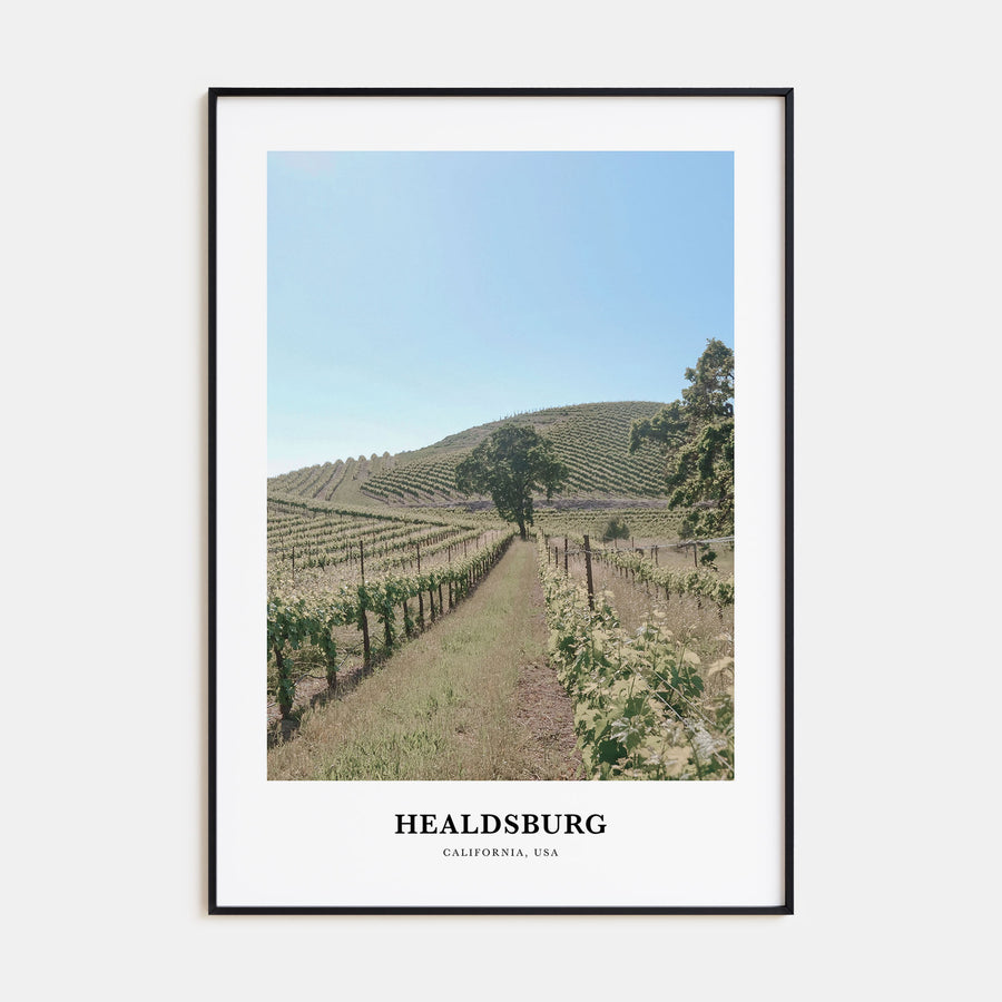 Healdsburg Portrait Color Poster